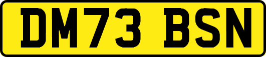 DM73BSN