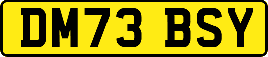 DM73BSY