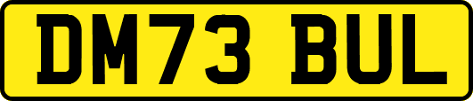 DM73BUL