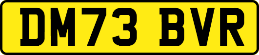DM73BVR