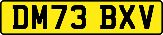 DM73BXV