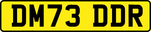 DM73DDR