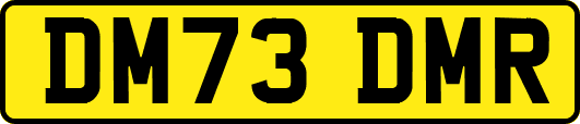 DM73DMR