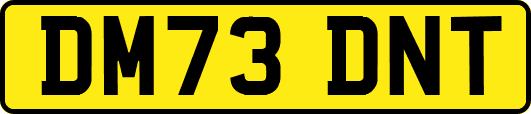 DM73DNT