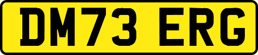 DM73ERG