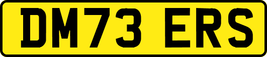 DM73ERS