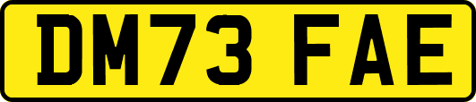 DM73FAE