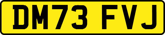DM73FVJ