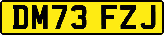 DM73FZJ