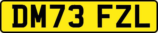 DM73FZL