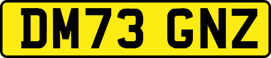 DM73GNZ