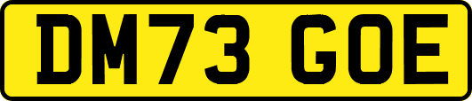 DM73GOE