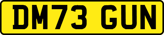 DM73GUN
