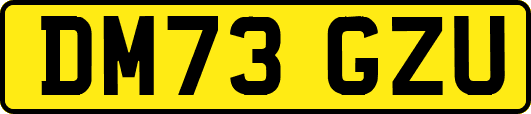 DM73GZU