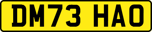 DM73HAO