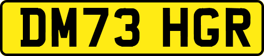 DM73HGR