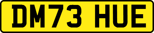 DM73HUE