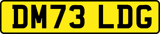 DM73LDG
