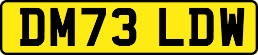 DM73LDW