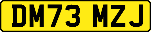 DM73MZJ