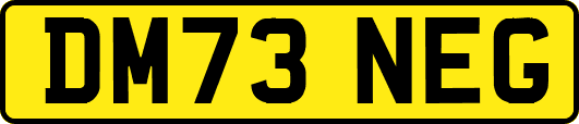 DM73NEG