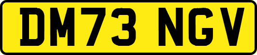 DM73NGV