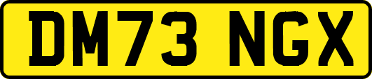 DM73NGX
