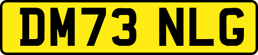 DM73NLG