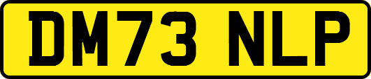 DM73NLP