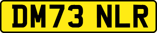 DM73NLR