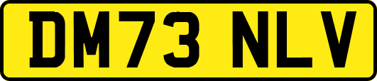 DM73NLV