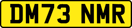 DM73NMR