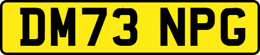 DM73NPG