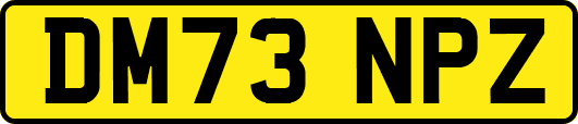 DM73NPZ