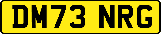 DM73NRG