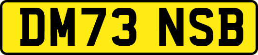 DM73NSB