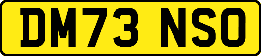 DM73NSO