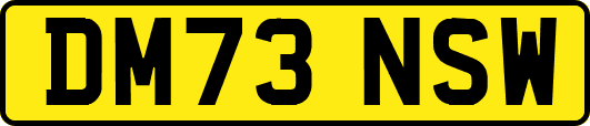 DM73NSW