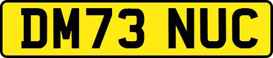 DM73NUC