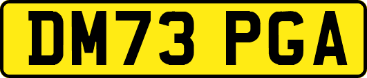 DM73PGA