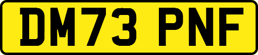 DM73PNF