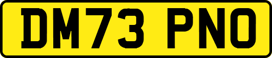 DM73PNO
