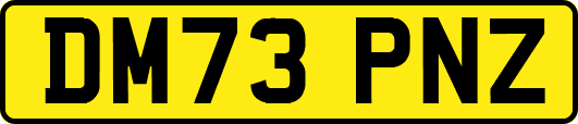 DM73PNZ