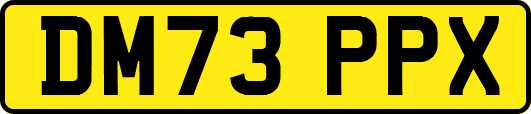 DM73PPX
