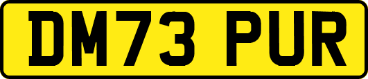DM73PUR