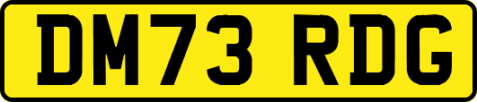 DM73RDG