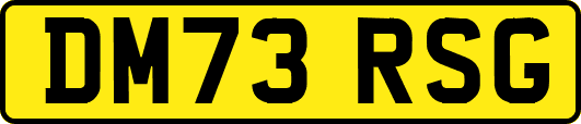 DM73RSG