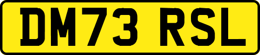 DM73RSL