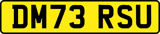 DM73RSU