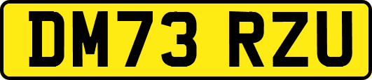 DM73RZU